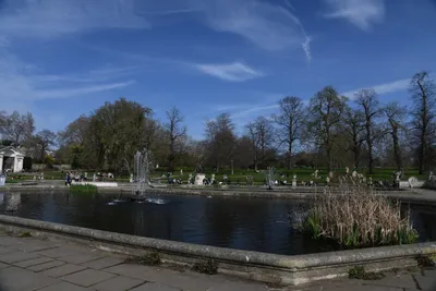 DSC_6900 (Large).JPG